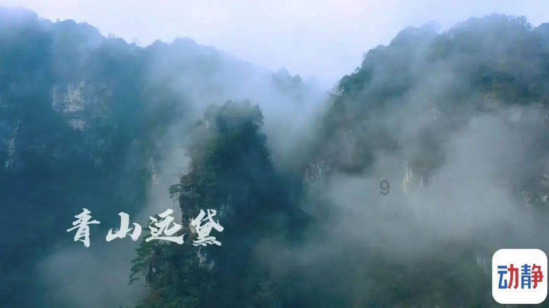探秘吉鹿力问答社区,解锁现代战争还有没有可能发起大规模冲锋?的奇妙世界!